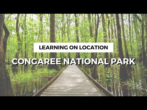Video: Taman Negara Congaree: Panduan Lengkap
