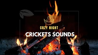 6 Hours Sounds of Crickets with Fire Meditation - Find Inner Peace with  Relaxing Ambient Sound