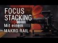 Focus Stacking mit einem automatischen Makro Rail
