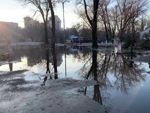 Озеро в парке Глобы вышло из берегов