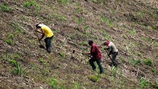 El impacto del cambio climático en la agricultura