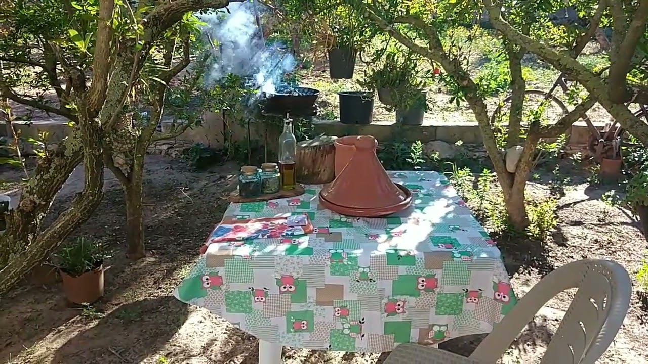 الحركه علينا والبركه على ربي// اعداد وجبه لشقان الفطر في الطبيعه