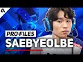 PROfiles: Saebyeolbe - The Story Of The World's Best Tracer | Overwatch League Player Profiles
