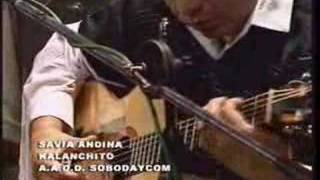 Lo mejor de Savia Andina (BOLIVIA) A los bosques, Verbenita chords