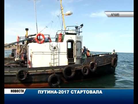 Новости Камчатки за 1 июня 2017