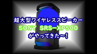 New Release! SONY Large Active Speaker 
