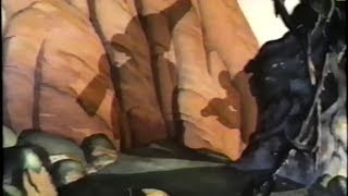 Snow White and the Seven Dwarfs (1937) Trailer 2 (VHS Capture)