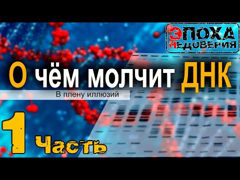 Видео: Почему лямбда-ДНК используется в качестве маркера?