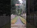 岩戸神社 #Shorts