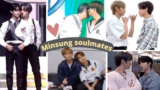 Minsung were never that obvious | latest adorable interactions of 🐰💞🐿