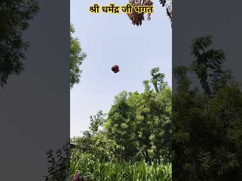 श्री धर्मेंद्र जी भगत द्वारा काशी दास बाबा करहा पूजा #shorts