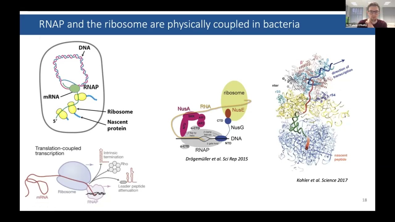 Developing crosslinking mass spectrometry - Dr Francis O'Reilly (Technische Universität Berlin)