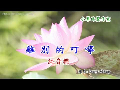 離別的叮嚀(女版)卡拉OK純音樂