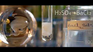 Double displacement of BaCl2 + H2SO4 | Barium chloride + Sulphuric acid | Precipitation reaction