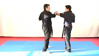 8 Count Block Parry for Adults and kids