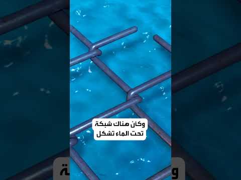 الأمواج المربعة ما هي