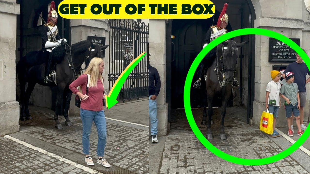 ❌ GUARDS FURIOUS at Idiots Crossing the Line Again and Again!