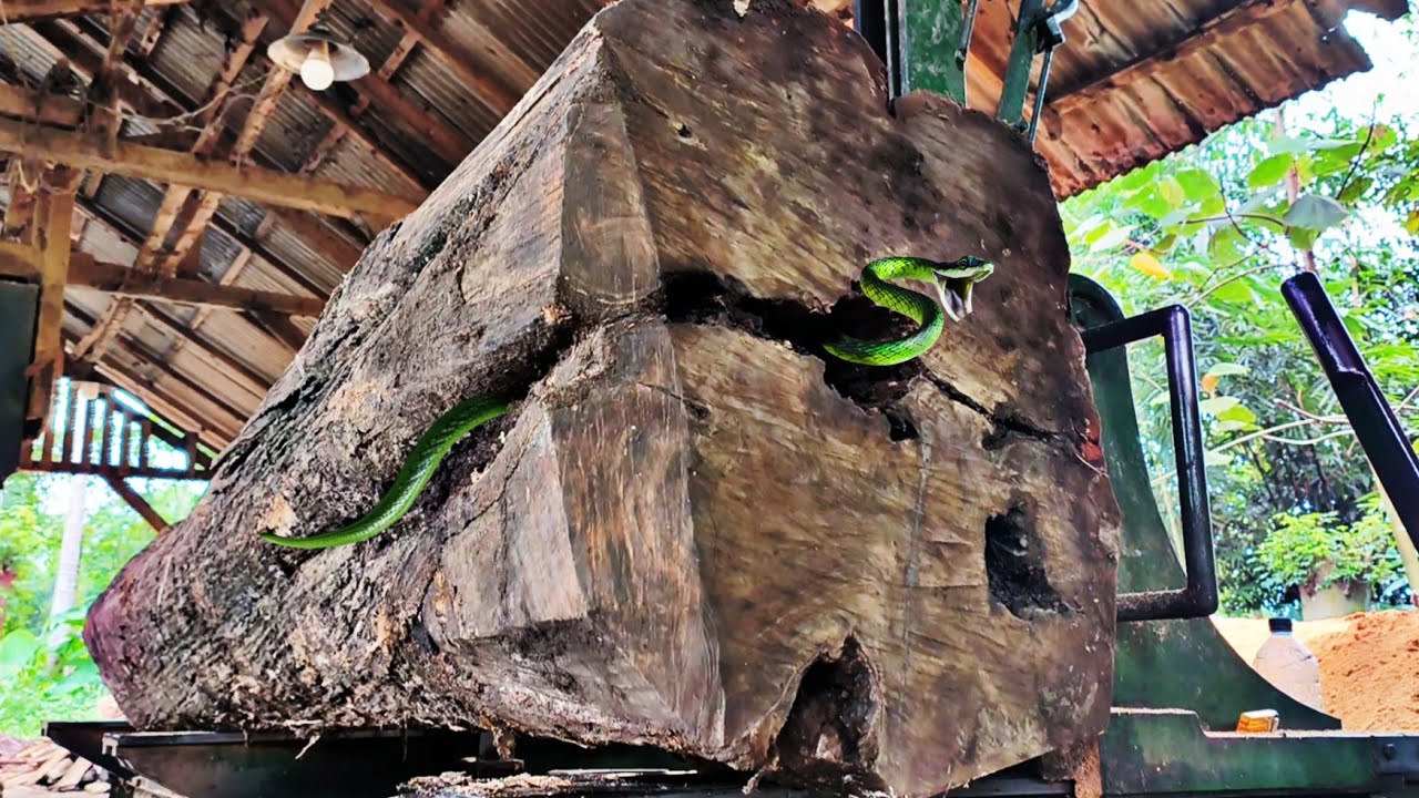 Unexpected surprise when sawing terrible holed teak wood at the sawmill 