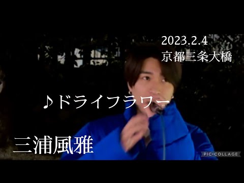 三浦風雅 2023.2.4 京都三条大橋路上ライブ《ドライフラワー／優里》カバー