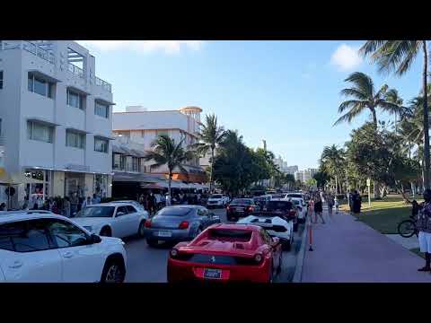 Pelican Hotel Ocean