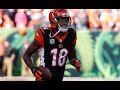 The Orange and Black Insider Bengals podcast: Beating dead horses