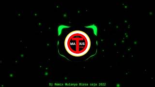 Download Lagu Dj remix Mulanya Biasa Saja 2022 MP3