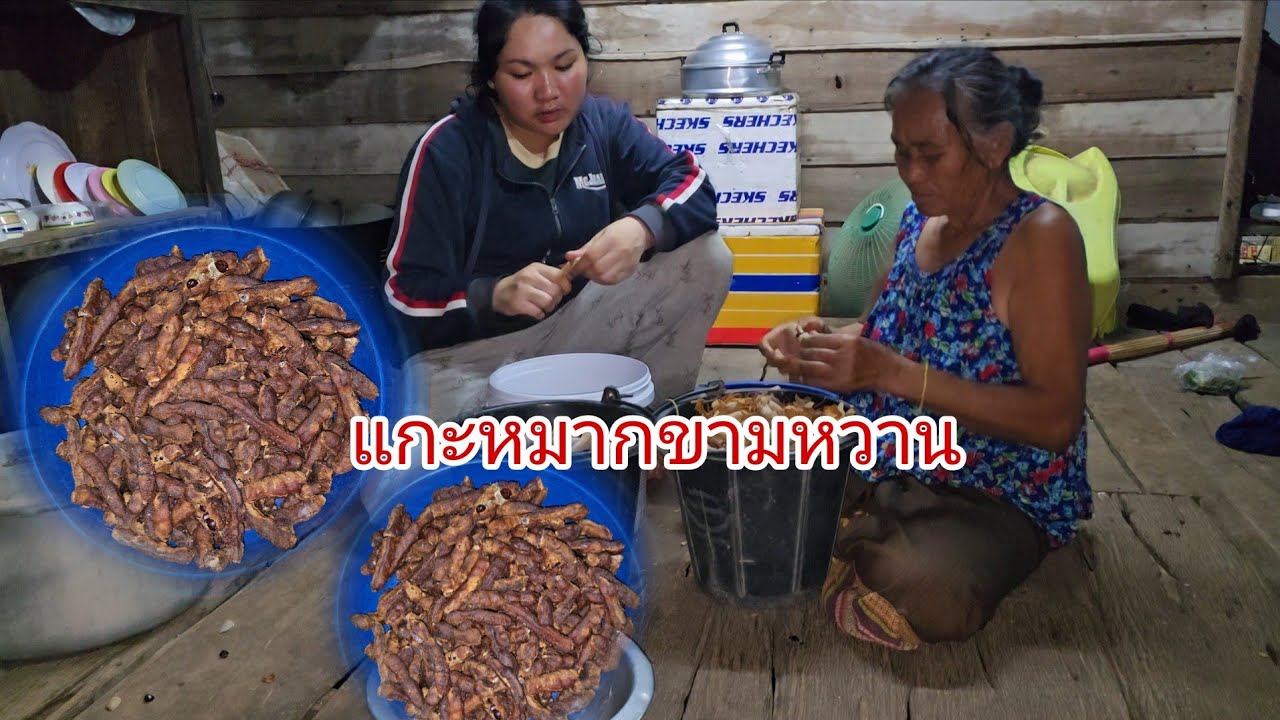 ยายเงิงบ่อฮู้เรื่องหยังนำเขาเว้าเรื่องครอบครัวยายแปสู่ยายเงิงฟังตอนนี้เป็นแบบนี้