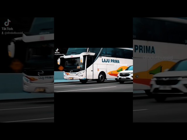 hunting bus di tol #huntingbus  #cinematic #shorts class=