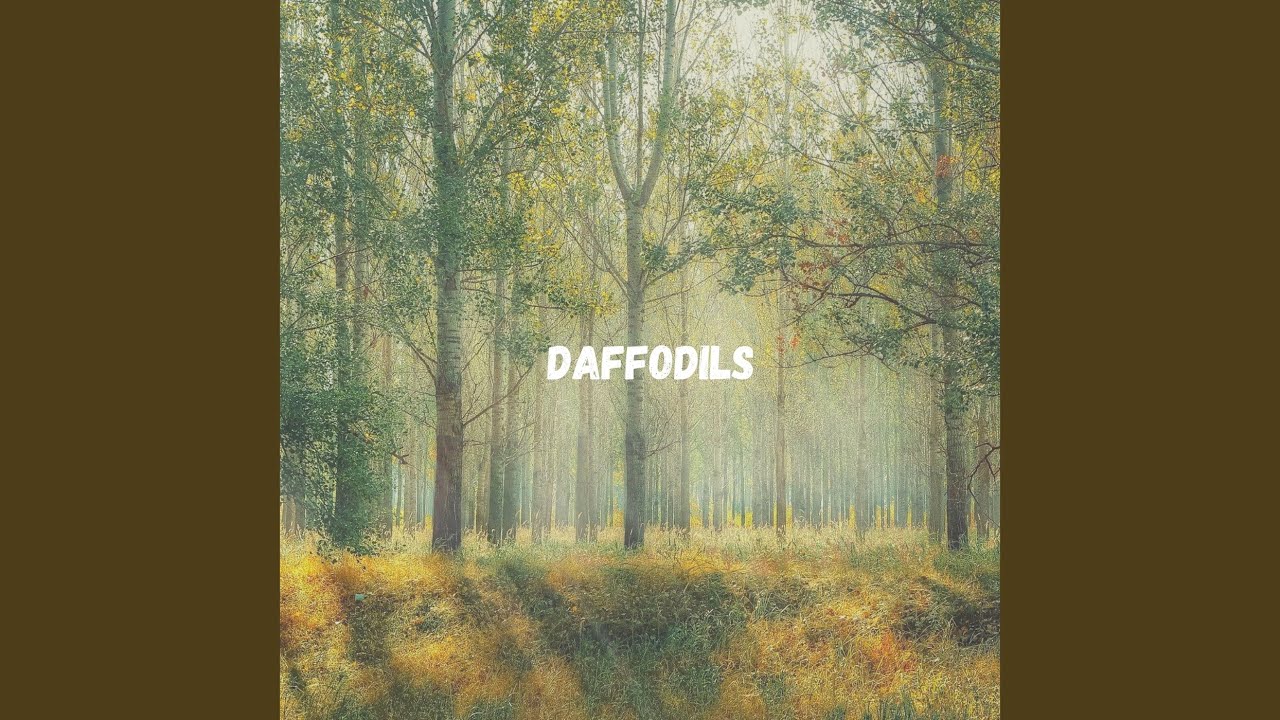 daffodils auf YouTube ansehen daffodils auf YouTube ansehen