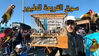 سوق القريعة للطيور يوم الاحد 29/10/2023 تعرف على اثمنة جميع الطيور الزينة والمغردة والحسون