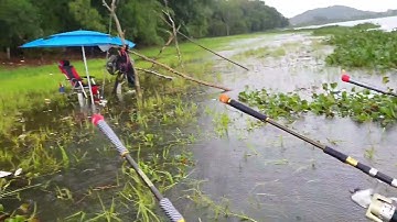 Bài Mồi Nền Ủ Chua, Chuyên Câu Cá Trôi, Chép, Hiệu Quả - Dễ Làm P3