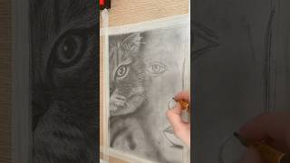 Все опять косо? #рисуноксисторией #рисунокплюсистория #art #картинаназаказ #новаяистория #художник