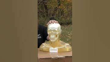 Had to use - Balistics Dummy Head.
