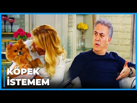 Taş Fırın Haluk'un Köpek Korkusu | Çocuklar Duymasın 38.Bölüm