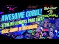 Awesome coral for the reef tank the sterling heights frag swap april 21st 2024