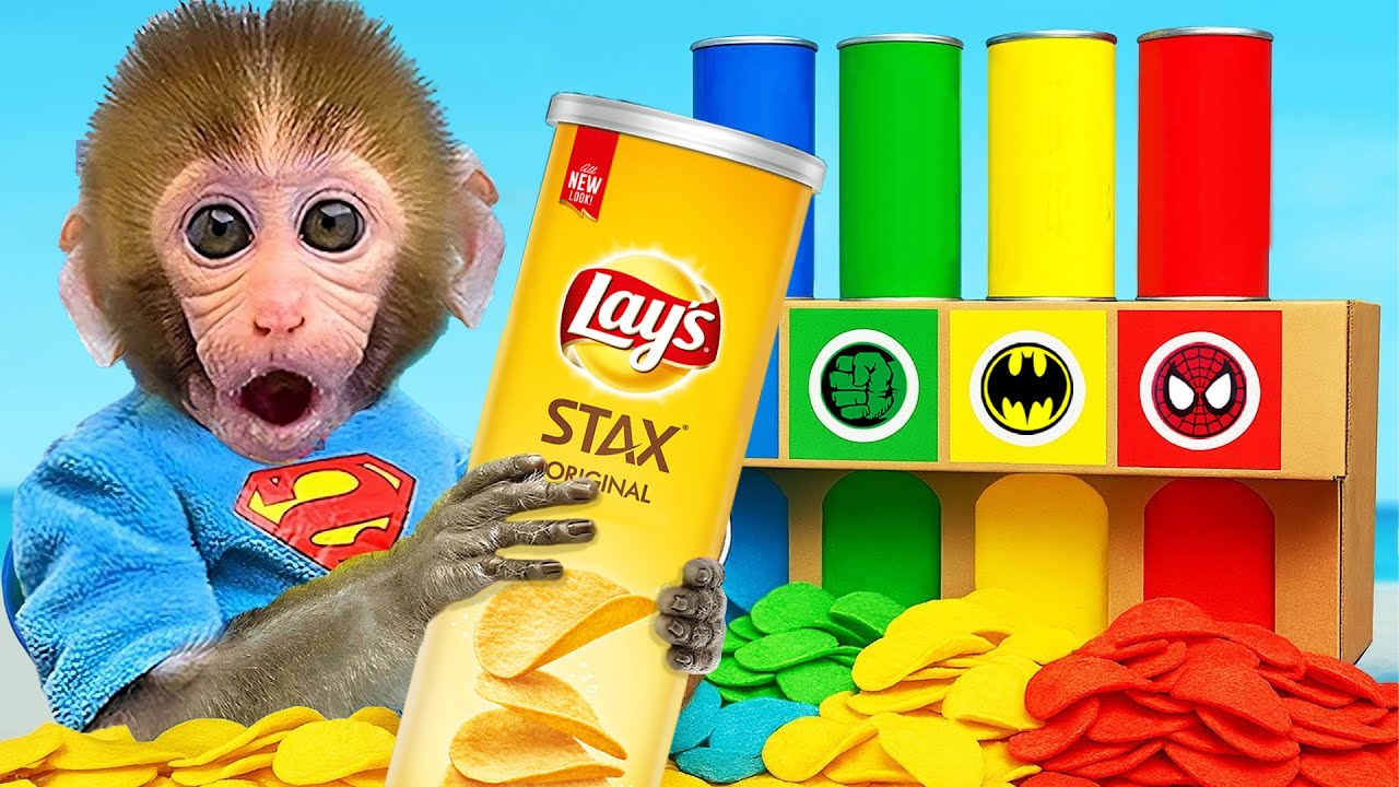 小猴子 Bonbon 享用美味的新鲜草莓，还去买了五颜六色的小吃