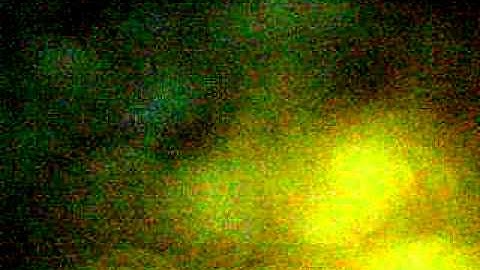 Dart First State Bus #542 retired (Audio)