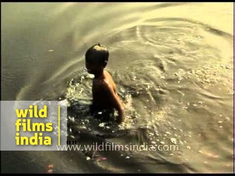 Kids bathing in the Yamuna river