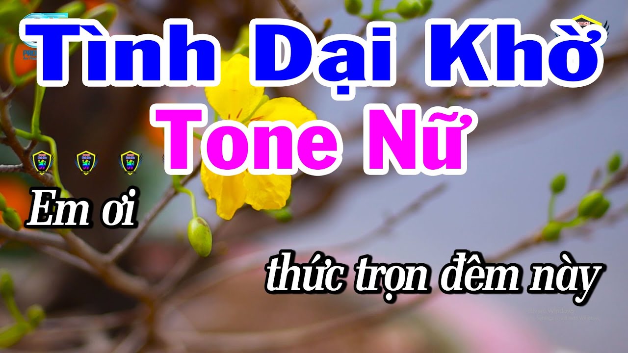 Karaoke Tình Dại Khờ Tone Nữ Nhạc Sống Beat Chuẩn