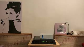 Download Lagu Nocturn No. 20 in C sharp minor | Elissa Lee Koljonen MP3