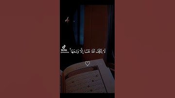 قرآن كريم بصوت جميل جدا راحه نفسيه #اكسبلور #المصحف #لايك #الرحمن #راحة_نفسية