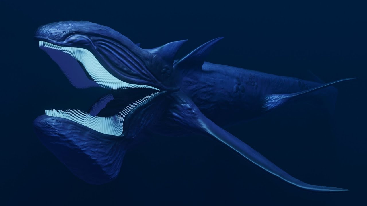 New monster upsweep | sea monsters animation