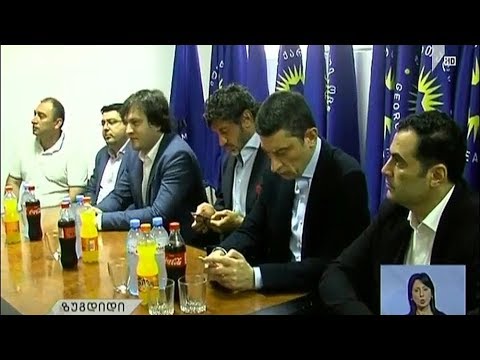 „ქართული ოცნების“ პარტიული შეხვედრები