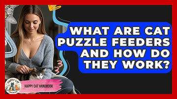What Are Cat Puzzle Feeders And How Do They Work? - Happy Cat Handbook