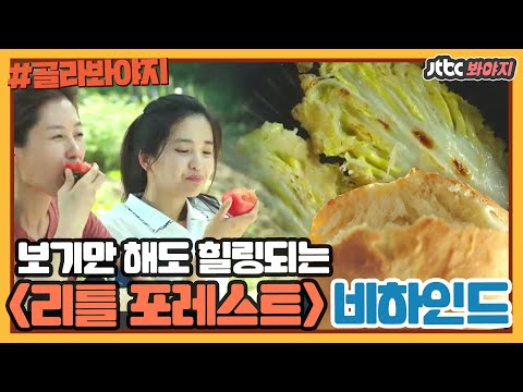 [골라봐야지] 힐링이 필요한 분들을 <strong>위한</strong> 영화 &amp;#39;리틀 포레스트(Little <strong>Forest</strong>)&amp;#39; 비하인드 스토리｜방구석1열｜JTBC 180914 방송