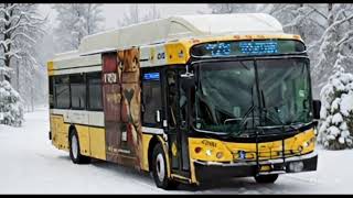 DART Bus 488 DART Bus 428 DART Bus 486 Getting Chase By Creeper's Trucks