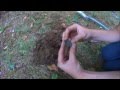 Metal detecting  7 silver spill and large cent at a cellar hole