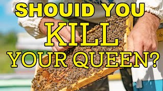 Beekeeping | Is Replacing Your Queen Yearly Worth It Or Worthless?