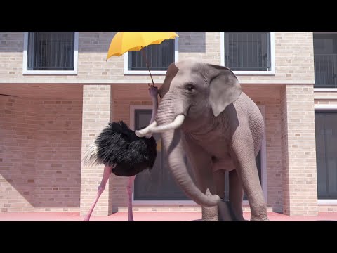 The last race | Athleticus | Sport animals | Cartoon in English