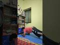 My Home work out Day by Day # #comedy #viral #funny #funnypost